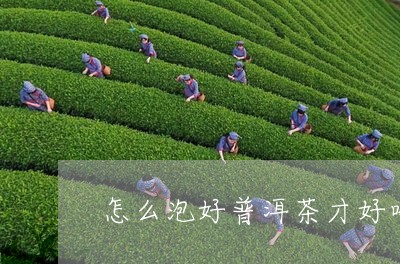 怎么泡好普洱茶才好喝一点/2023112514857