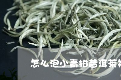 怎么泡小青柑普洱茶视频/2023110180694