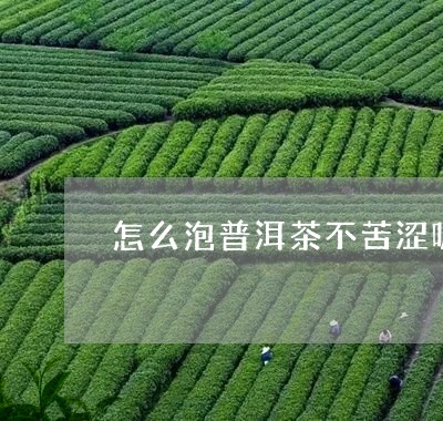 怎么泡普洱茶不苦涩呢/2023112761714