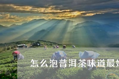 怎么泡普洱茶味道最好/2023062752825