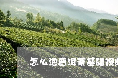 怎么泡普洱茶基础视频/2023080123938