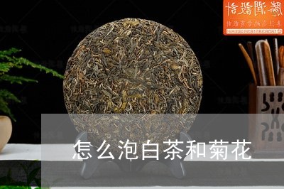 怎么泡白茶和菊花/2023062945159