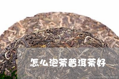 怎么泡茶普洱茶好/2023082665939