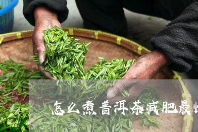 怎么煮普洱茶减肥最快最有效/2023082878350