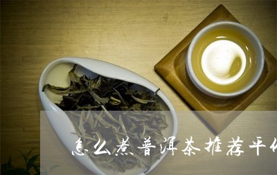 怎么煮普洱茶推荐平价/2023073168381