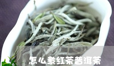 怎么煮红茶普洱茶/2023120351825