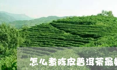 怎么煮陈皮普洱茶最好喝/2023082595281