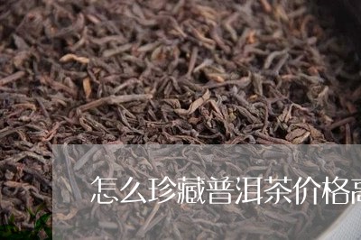 怎么珍藏普洱茶价格高一点/2023121661837