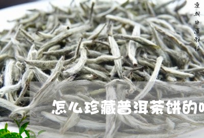 怎么珍藏普洱茶饼的味道/2023082701491