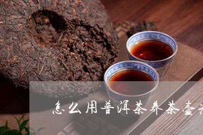 怎么用普洱茶养茶壶光亮/2023122058249