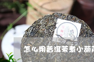 怎么用普洱茶煮小葫芦/2023062320482