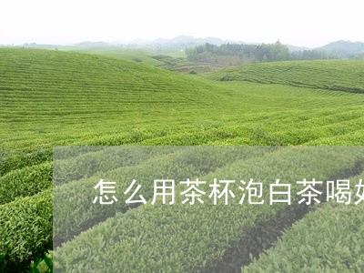 怎么用茶杯泡白茶喝好喝/2023102537069