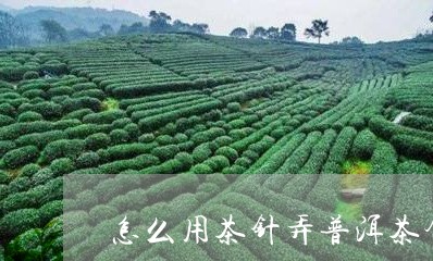 怎么用茶针弄普洱茶饼/2023110608471