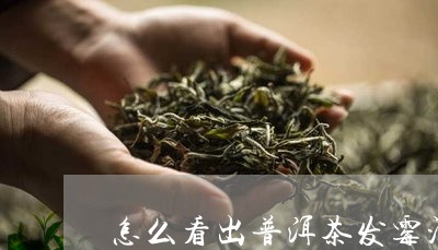 怎么看出普洱茶发霉没有/2023082447151