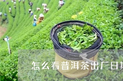 怎么看普洱茶出厂日期/2023061723804