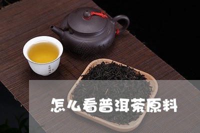 怎么看普洱茶原料/2023112463724