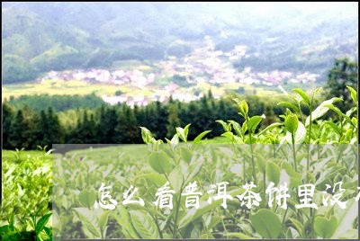 怎么看普洱茶饼里没有没胶/2023051054038