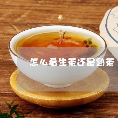 怎么看生茶还是熟茶/2023042562036