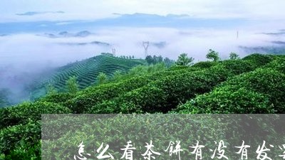 怎么看茶饼有没有发霉/2023092191724