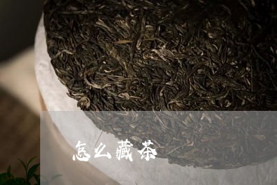 怎么藏茶/2023090170405