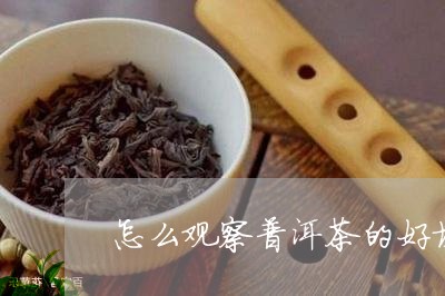 怎么观察普洱茶的好坏/2023080236452