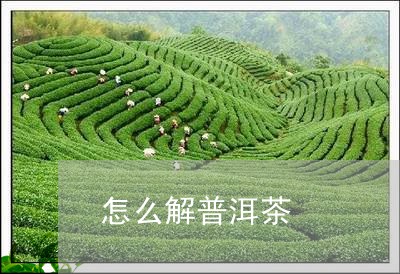 怎么解普洱茶/2023042767826