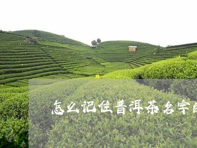 怎么记住普洱茶名字的来历/2023082838273