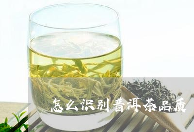 怎么识别普洱茶品质/2023070863928