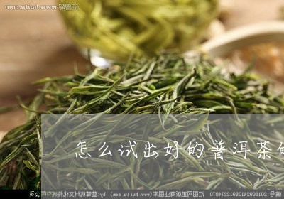 怎么试出好的普洱茶的好坏/2023121688260