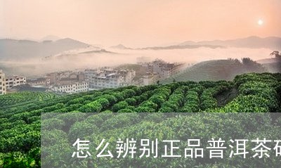 怎么辨别正品普洱茶砖和茶饼/2023082997370