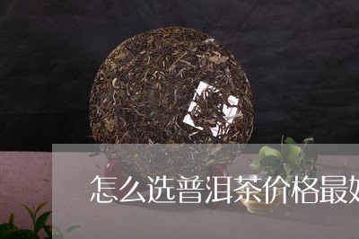 怎么选普洱茶价格最好喝/2023110303938