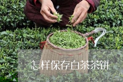 怎样保存白茶茶饼/2023062040514