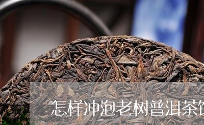 怎样冲泡老树普洱茶饼/2023100549484