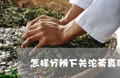 怎样分辨下关沱茶真假/2023060991717