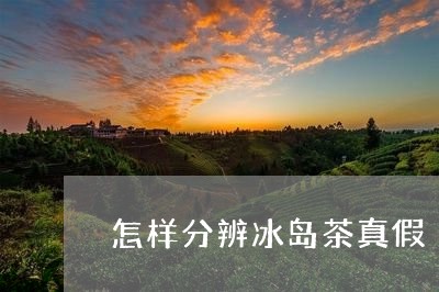 怎样分辨冰岛茶真假/2023042691614