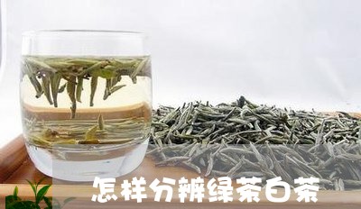 怎样分辨绿茶白茶/2023062024039