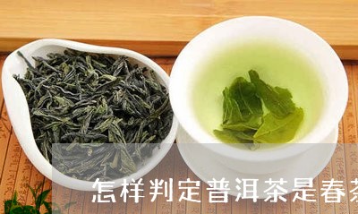 怎样判定普洱茶是春茶/2023062548616