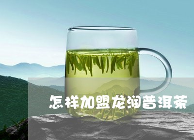 怎样加盟龙润普洱茶/2023042853136