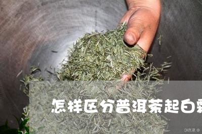 怎样区分普洱茶起白霜/2023100516461