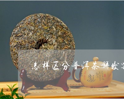 怎样区分普洱茶饼发霉/2023080311614