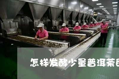 怎样发酵少量普洱茶的茶叶/2023121603039