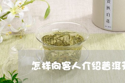 怎样向客人介绍普洱茶/2023080122616