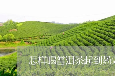 怎样喝普洱茶起到药效/2023100535270