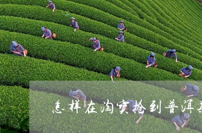 怎样在淘宝抢到普洱茶/2023073149494