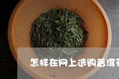 怎样在网上选购普洱茶/2023092839582