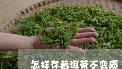 怎样存普洱茶不变质/2023110636158