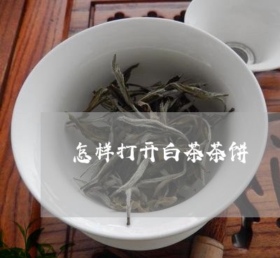 怎样打开白茶茶饼/2023061965058