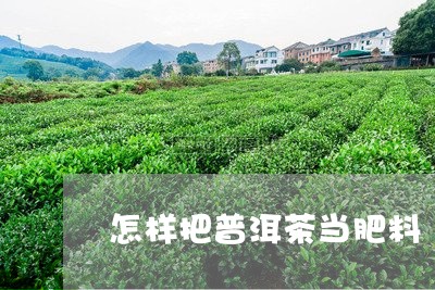 怎样把普洱茶当肥料/2023112754847