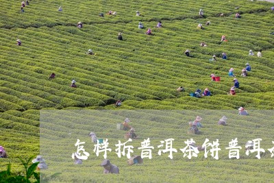 怎样拆普洱茶饼普洱茶哪种好/2023052732806