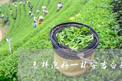 怎样泡好一杯安吉白茶/2023093005171